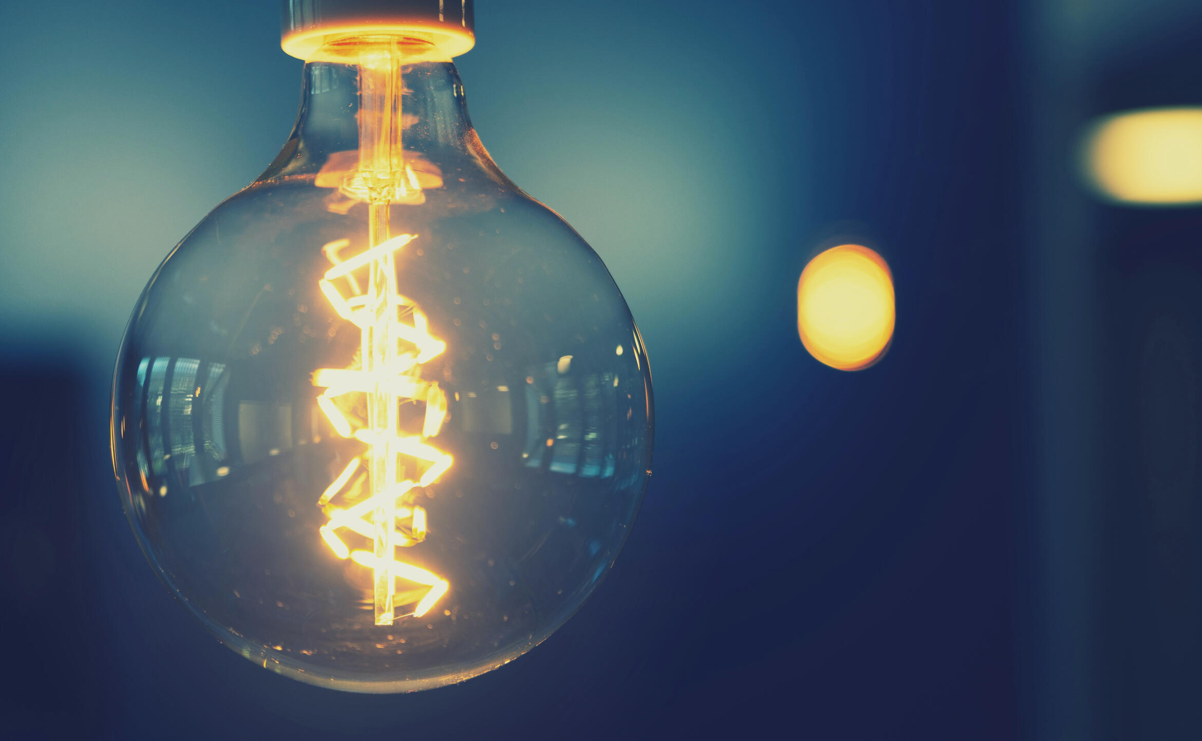 portrait.matthias_ackermann